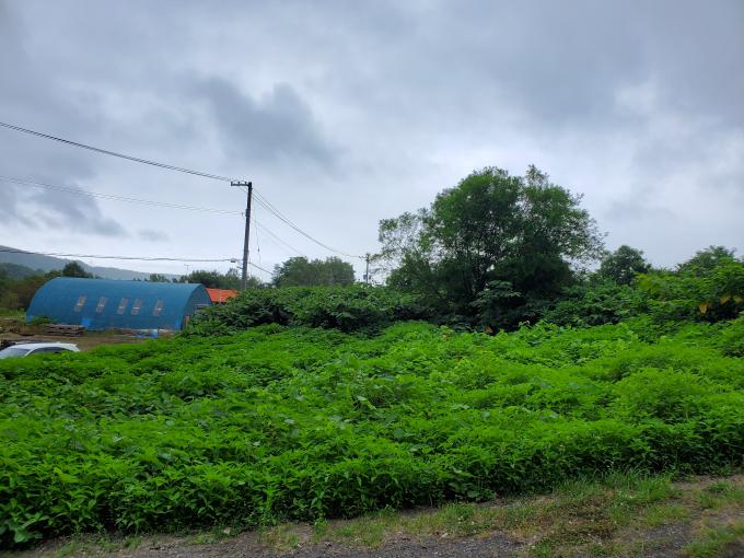 中ノ沢土地 画像２